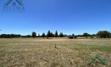 Terreno - Interno al golf - El Trébol - Haras Santa Maria - lote 1532