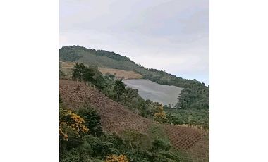 FINCA ABEJORRAL (ANTIOQUIA )