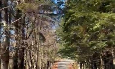 Parcela en venta en VILLARRICA