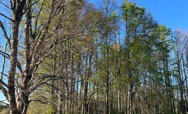 Parcela en venta en VILLARRICA