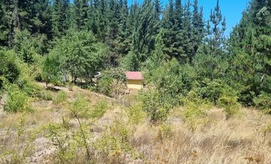 Casa en Venta en Almacen nevado Longavi al final de la ruta L535