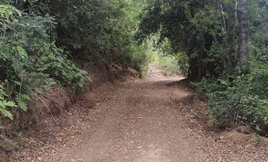 Casa en Venta en Almacen nevado Longavi al final de la ruta L535