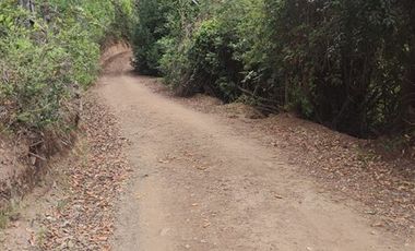 Agrícola en Venta en Almacen nevado Longavi al final de la ruta L535
