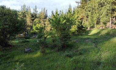 Agrícola en Venta en Almacen nevado Longavi al final de la ruta L535