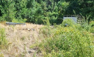 Agrícola en Venta en Almacen nevado Longavi al final de la ruta L535