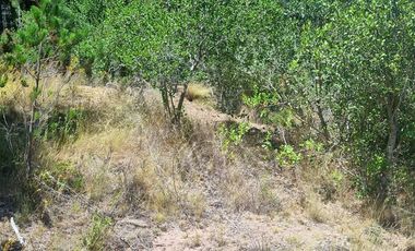Agrícola en Venta en Almacen nevado Longavi al final de la ruta L535