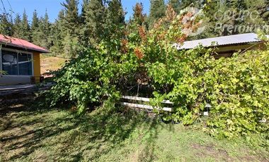 Agrícola en Venta en Almacen nevado Longavi al final de la ruta L535