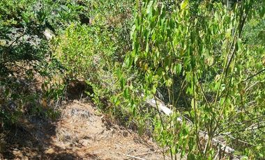 Agrícola en Venta en Almacen nevado Longavi al final de la ruta L535