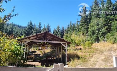 Agrícola en Venta en Almacen nevado Longavi al final de la ruta L535