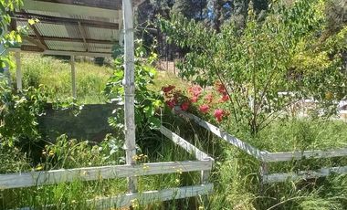 Agrícola en Venta en Almacen nevado Longavi al final de la ruta L535