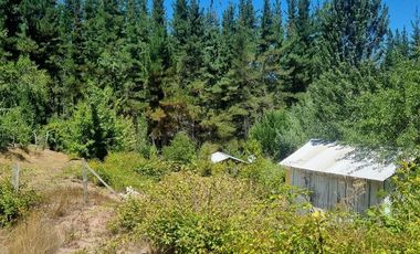 Agrícola en Venta en Almacen nevado Longavi al final de la ruta L535