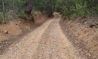 Agrícola en Venta en Almacen nevado Longavi al final de la ruta L535