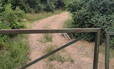 Parcela en Venta en Almacen nevado Longavi al final de la ruta L535