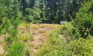 Parcela en Venta en Almacen nevado Longavi al final de la ruta L535