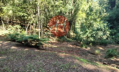 Parcela en Venta en PUMALAL