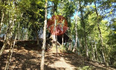 Parcela en Venta en PUMALAL