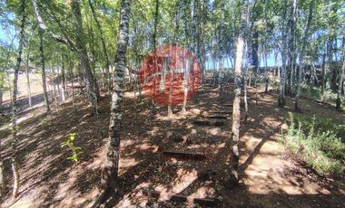 Parcela en Venta en PUMALAL