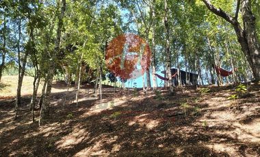 Parcela en Venta en PUMALAL