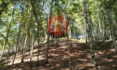Parcela en Venta en PUMALAL