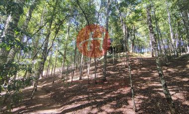 Parcela en Venta en PUMALAL