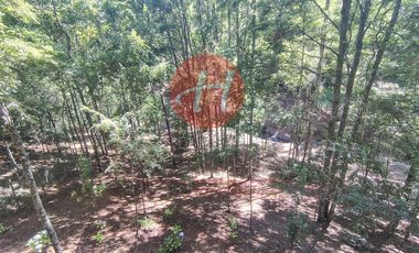 Parcela en Venta en PUMALAL