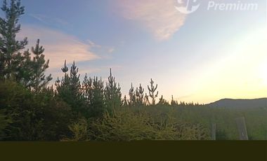 Parcela en Venta en Fundo La Obra s/n Lt A-53 Pichaman