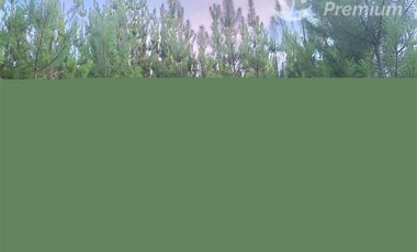 Parcela en Venta en Fundo La Obra s/n Lt A-53 Pichaman