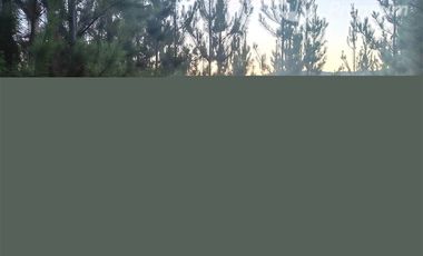 Parcela en Venta en Fundo La Obra s/n Lt A-53 Pichaman