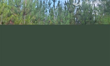 Parcela en Venta en Fundo La Obra s/n Lt A-53 Pichaman