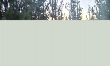 Parcela en Venta en Fundo La Obra s/n Lt A-53 Pichaman