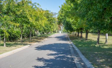 Casa en alquiler en  El Encuentro de 3 dormitorios con laguna