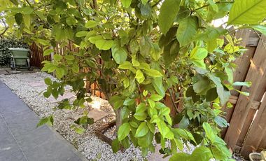 Casa en Venta con Piscina en Ranelagh Golf Club