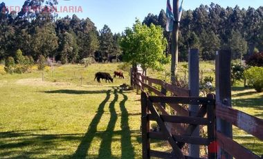 Quinta en Puerto Yerua