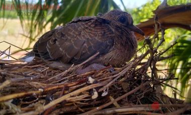 Quinta en Puerto Yerua
