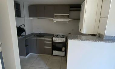 Departamento 1 dormitorio- Terraza con asadores