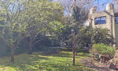 Dos viviendas independientes con quincho