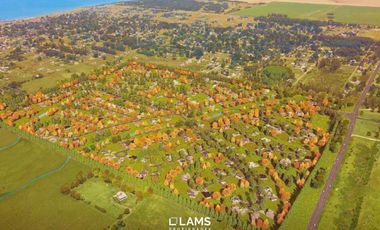 Venta Terreno en Casonas del Haras