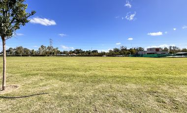 Terreno central en venta en Los Cardos