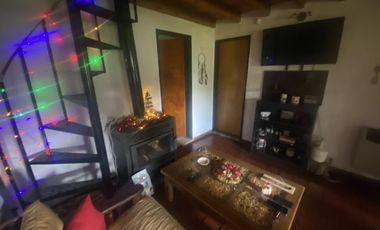 Casa mas departamento en Arturo Segui con un lote de 43x43 totalmente arbolado.