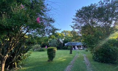 Casa mas departamento en Arturo Segui con un lote de 43x43 totalmente arbolado.