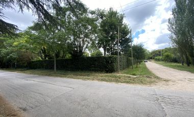 Casa mas departamento en Arturo Segui con un lote de 43x43 totalmente arbolado.