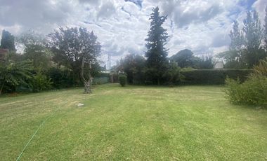 Casa mas departamento en Arturo Segui con un lote de 43x43 totalmente arbolado.