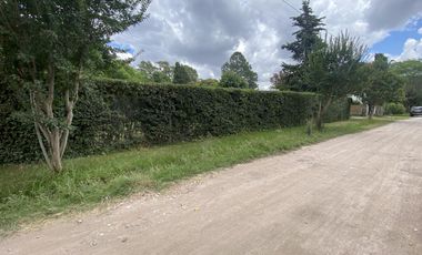 Casa mas departamento en Arturo Segui con un lote de 43x43 totalmente arbolado.