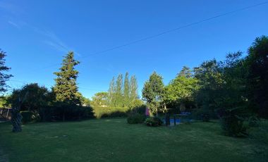 Casa mas departamento en Arturo Segui con un lote de 43x43 totalmente arbolado.