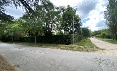 Casa mas departamento en Arturo Segui con un lote de 43x43 totalmente arbolado.