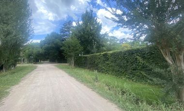 Casa mas departamento en Arturo Segui con un lote de 43x43 totalmente arbolado.