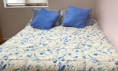 ARRIENDO 3 LOCALES COMERCIALES O X SEPARADO EN PUERTO VARAS