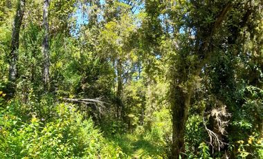 VENTA PARCELA 14350MTS Lanco