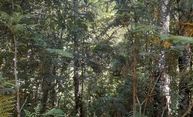 VENTA PARCELA 14350MTS Lanco