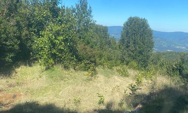 VENTA PARCELA 14350MTS Lanco